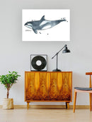 Cetacea Orca Whale. Wall Art -June Erica Vess Designs