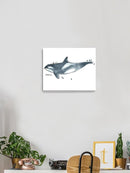 Cetacea Orca Whale. Wall Art -June Erica Vess Designs