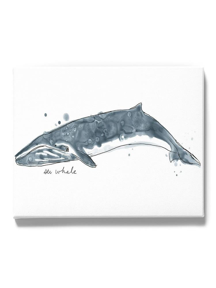 Cetacea Sei Whale. Wall Art -June Erica Vess Designs