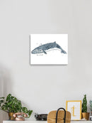 Cetacea Sei Whale. Wall Art -June Erica Vess Designs