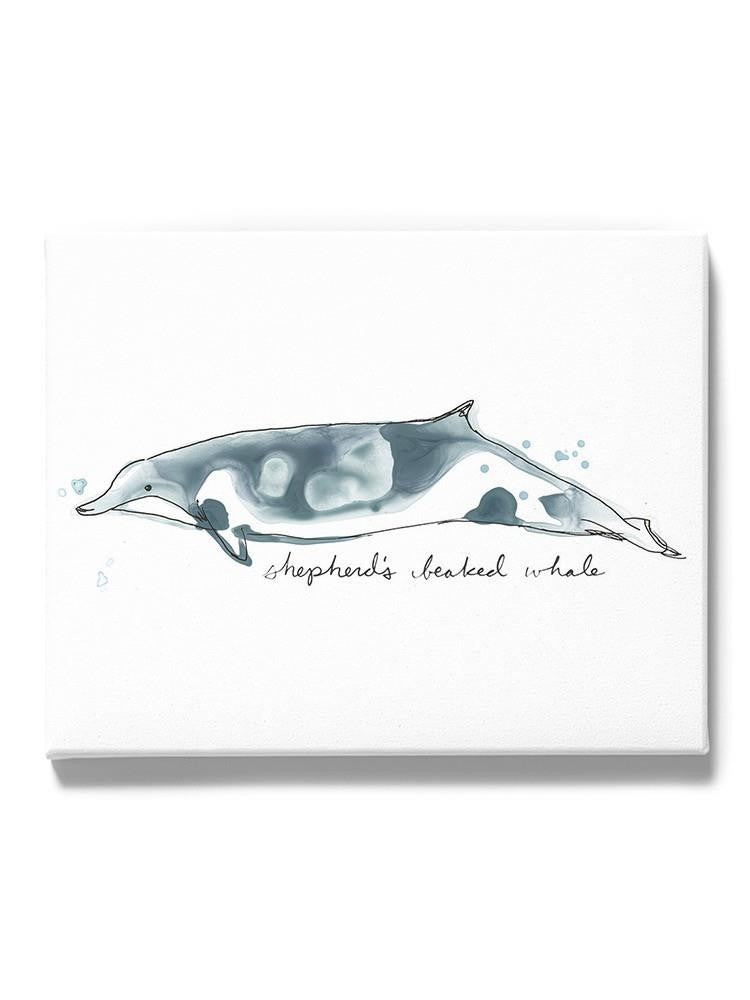Cetacea Shepherd's Beak Whale. Wall Art -June Erica Vess Designs