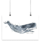 Cetacea Whale. Wall Art -June Erica Vess Designs