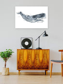 Cetacea Whale. Wall Art -June Erica Vess Designs