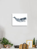 Cetacea Whale. Wall Art -June Erica Vess Designs