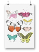Chromatic Butterflies I Wall Art -June Erica Vess Designs