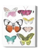 Chromatic Butterflies I Wall Art -June Erica Vess Designs
