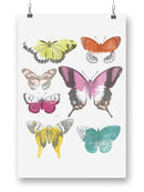Chromatic Butterflies Ii. Wall Art -June Erica Vess Designs