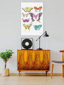 Chromatic Butterflies Ii. Wall Art -June Erica Vess Designs