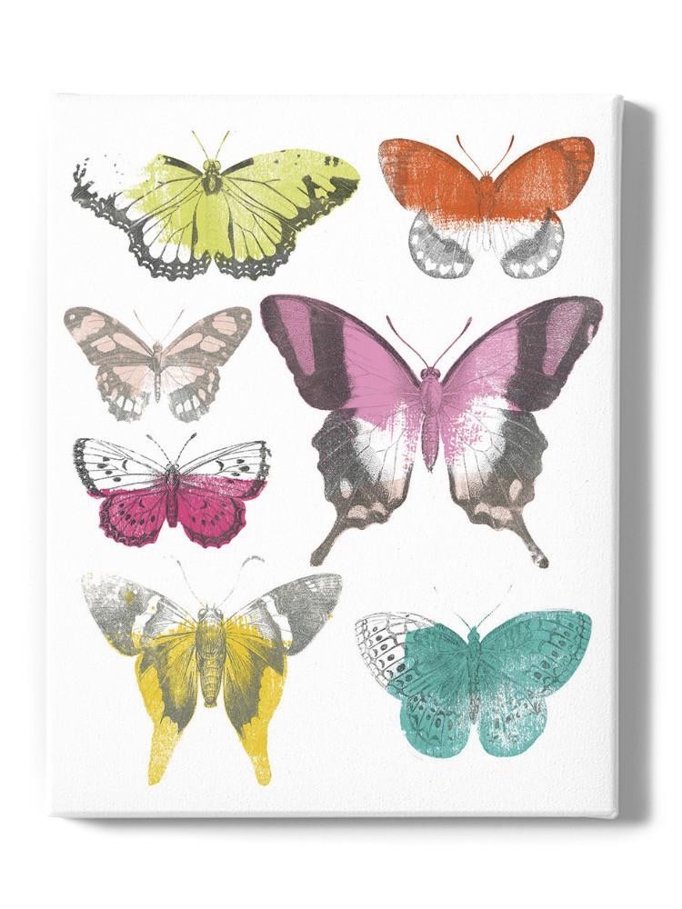 Chromatic Butterflies Ii. Wall Art -June Erica Vess Designs