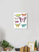 Chromatic Butterflies Ii. Wall Art -June Erica Vess Designs