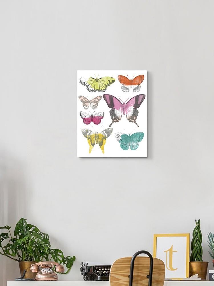 Chromatic Butterflies Ii. Wall Art -June Erica Vess Designs