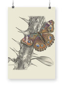 Majestic Butterfly. Ii Wall Art -Lily Liama Designs