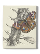 Majestic Butterfly. Ii Wall Art -Lily Liama Designs