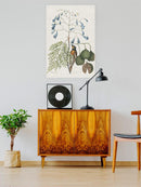 Studies In Nature Ii Wall Art -Mark Catesby Designs