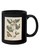 Catesby Butterfly Mug -Mark Catesby Designs