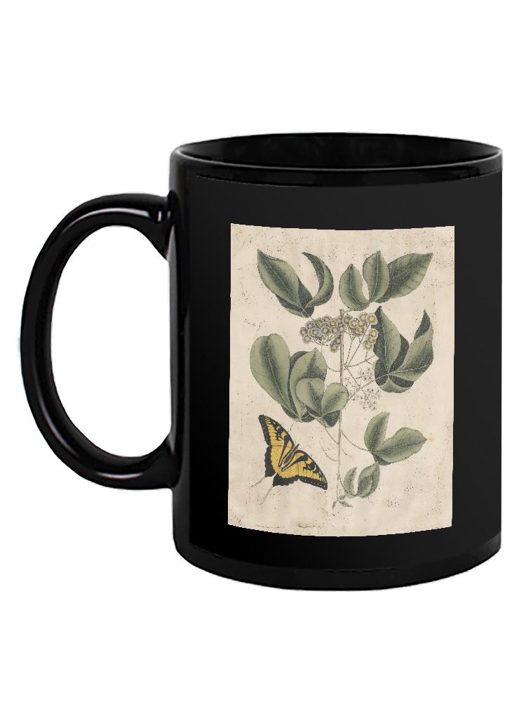 Catesby Butterfly Mug -Mark Catesby Designs