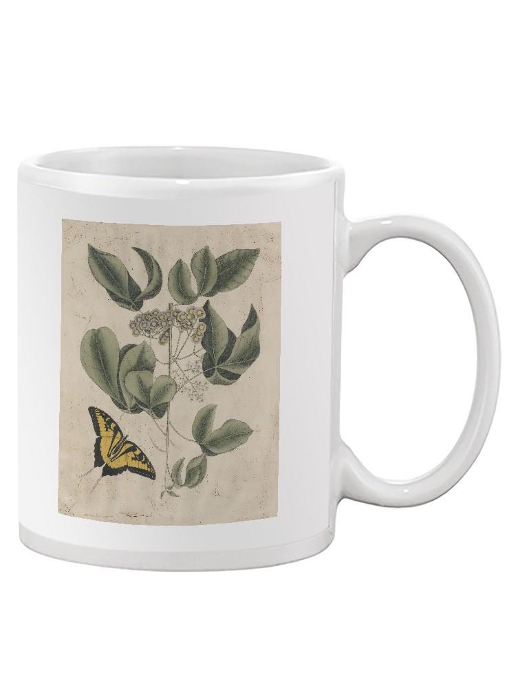 Catesby Butterfly Mug -Mark Catesby Designs