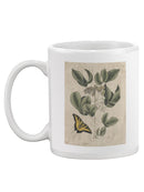 Catesby Butterfly Mug -Mark Catesby Designs