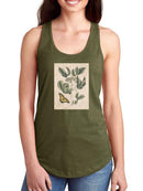 Catesby Butterfly T-shirt -Mark Catesby Designs