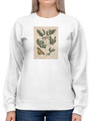 Catesby Butterfly Sweatshirt -Mark Catesby Designs