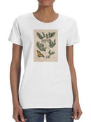 Catesby Butterfly T-shirt -Mark Catesby Designs