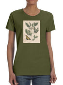 Catesby Butterfly T-shirt -Mark Catesby Designs
