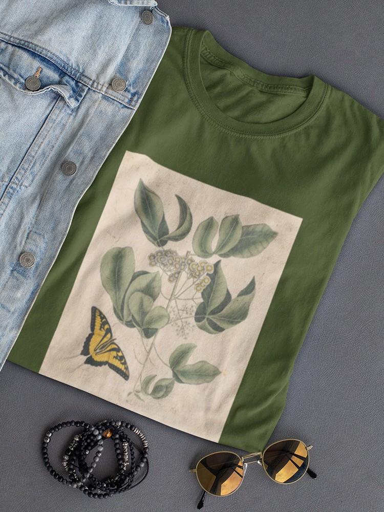 Catesby Butterfly T-shirt -Mark Catesby Designs