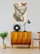 Embellished Catesby Wall Art -Mark Catesby Designs