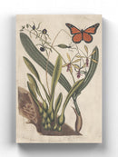 Embellished Catesby Wall Art -Mark Catesby Designs