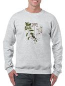 Catesby Bird Botanical Art Sweatshirt -Mark Catesby Designs