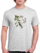 Catesby Bird Botanical Art T-shirt -Mark Catesby Designs