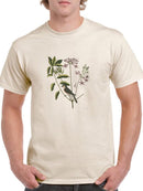 Catesby Bird Botanical Art T-shirt -Mark Catesby Designs
