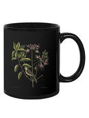Catesby Bird Botanical Art Mug -Mark Catesby Designs