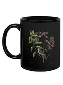 Catesby Bird Botanical Art Mug -Mark Catesby Designs