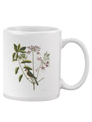Catesby Bird Botanical Art Mug -Mark Catesby Designs