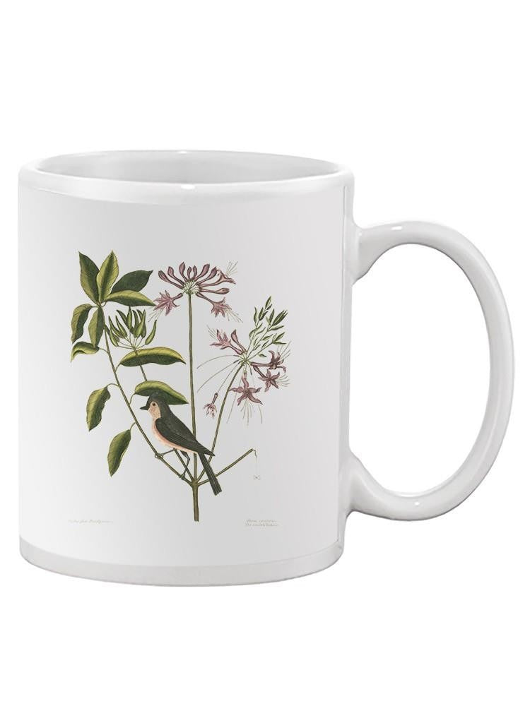 Catesby Bird Botanical Art Mug -Mark Catesby Designs