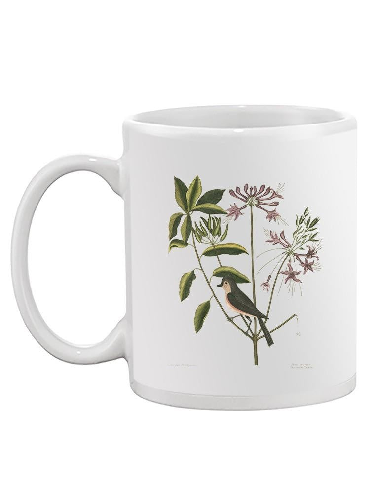 Catesby Bird Botanical Art Mug -Mark Catesby Designs