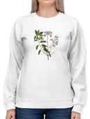 Catesby Bird Botanical Art Sweatshirt -Mark Catesby Designs