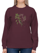 Catesby Bird Botanical Art Sweatshirt -Mark Catesby Designs