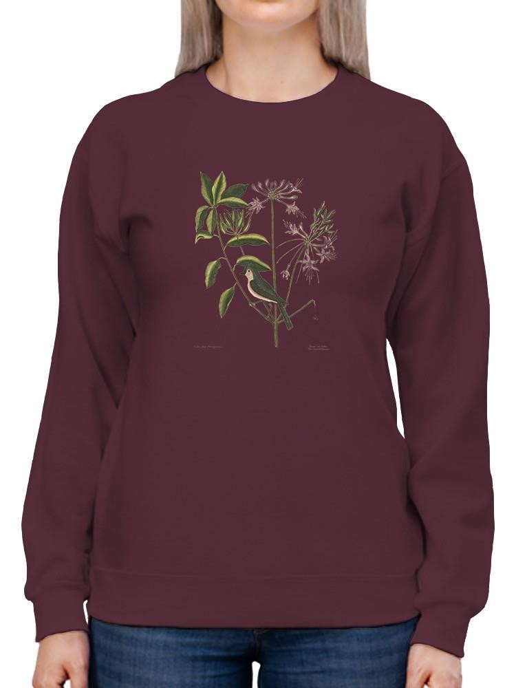 Catesby Bird Botanical Art Sweatshirt -Mark Catesby Designs