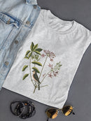 Catesby Bird Botanical Art T-shirt -Mark Catesby Designs
