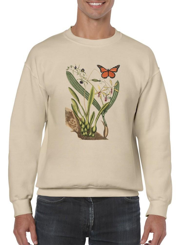 Sm Catesby Butterfly Iv Sweatshirt -Mark Catesby Designs