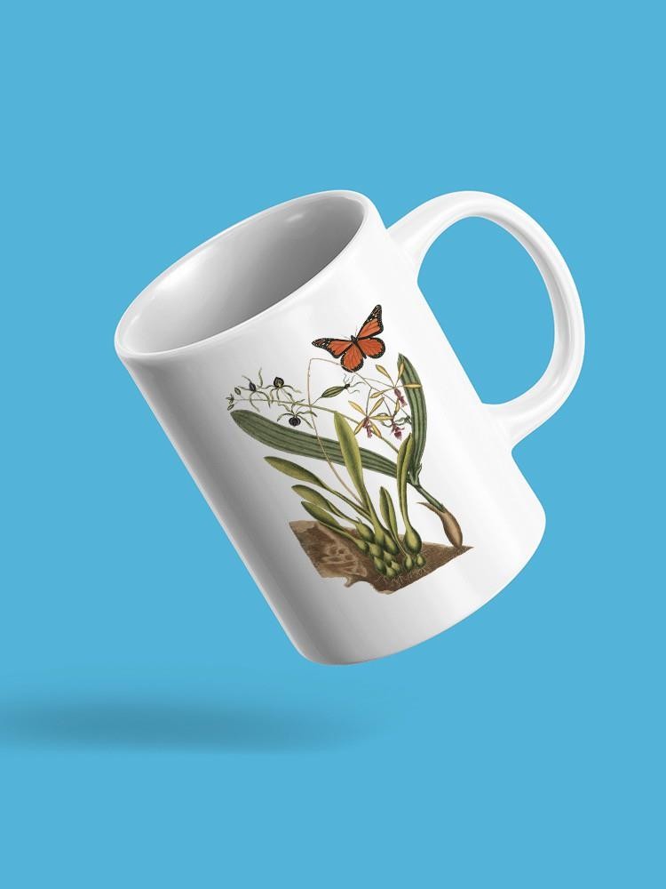 Sm Catesby Butterfly Iv Mug -Mark Catesby Designs