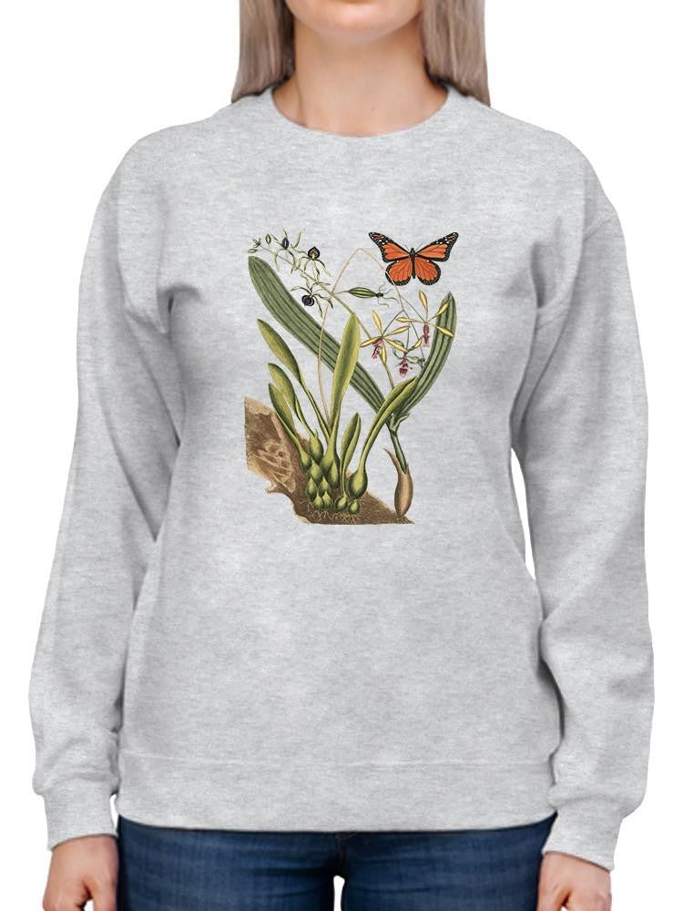 Sm Catesby Butterfly Iv Sweatshirt -Mark Catesby Designs