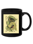 Baltimore Bird. Catalpah Mug -Mark Catesby Designs