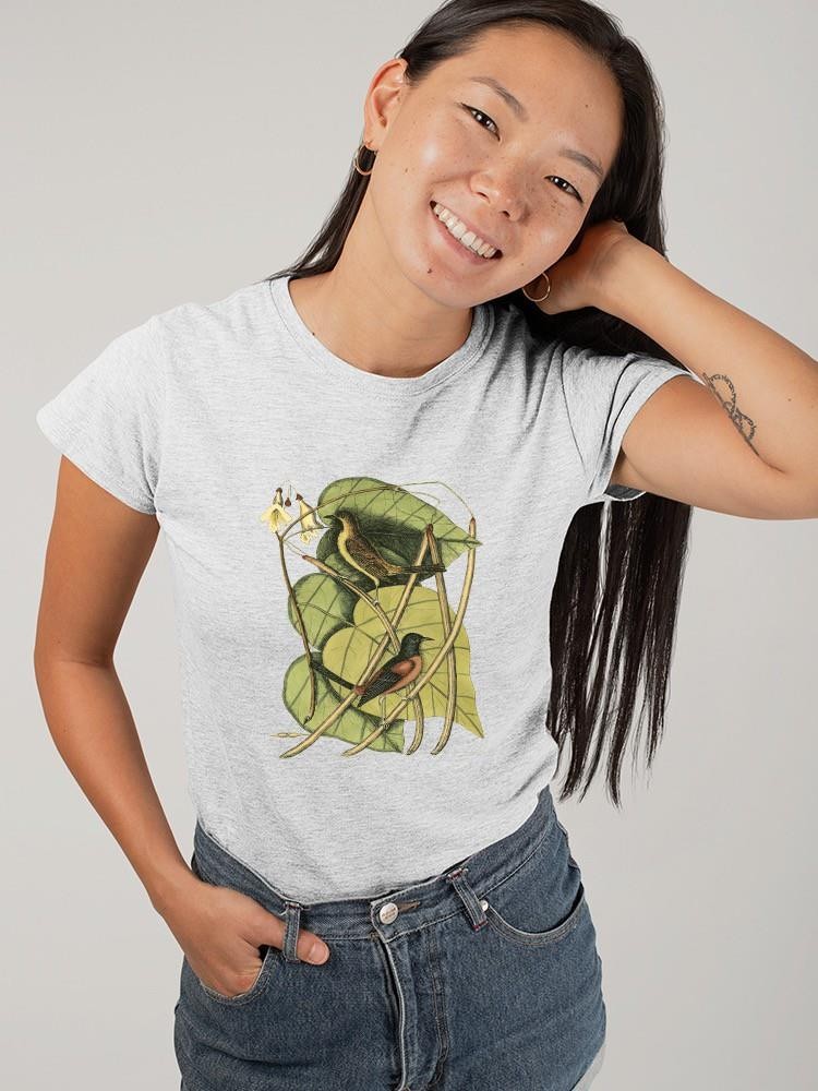 Baltimore Bird. Catalpah T-shirt -Mark Catesby Designs