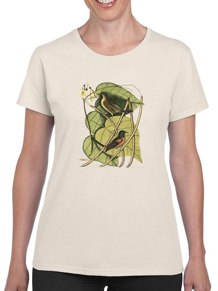 Baltimore Bird. Catalpah T-shirt -Mark Catesby Designs