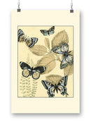 Spa Butterflies In Nature Wall Art -Megan Meagher Designs