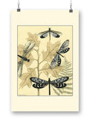 Spa Dragonflies In Nature Wall Art -Megan Meagher Designs