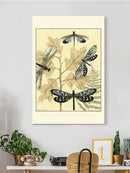 Spa Dragonflies In Nature Wall Art -Megan Meagher Designs